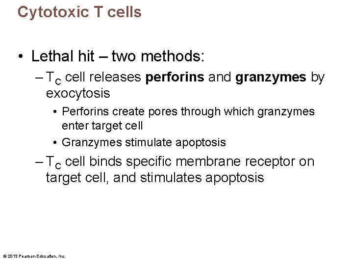 Cytotoxic T cells • Lethal hit – two methods: – TC cell releases perforins