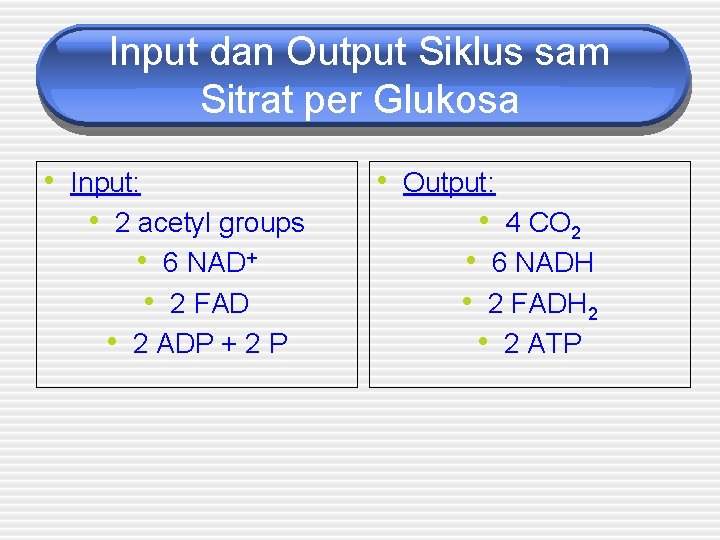 Input dan Output Siklus sam Sitrat per Glukosa • Input: • 2 acetyl groups