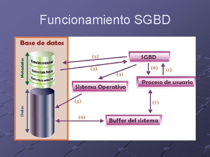 Funcionamiento SGBD 