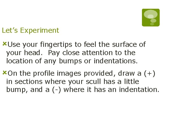 Let’s Experiment ûUse your fingertips to feel the surface of your head. Pay close