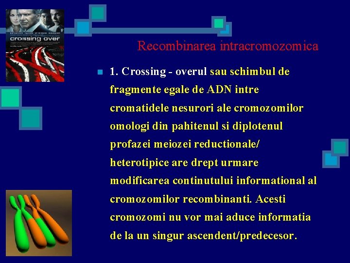 Recombinarea intracromozomica n 1. Crossing - overul sau schimbul de fragmente egale de ADN