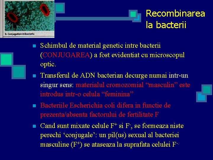 Recombinarea la bacterii n Schimbul de material genetic intre bacterii (CONJUGAREA) a fost evidentiat