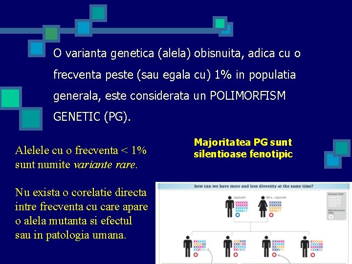 O varianta genetica (alela) obisnuita, adica cu o frecventa peste (sau egala cu) 1%