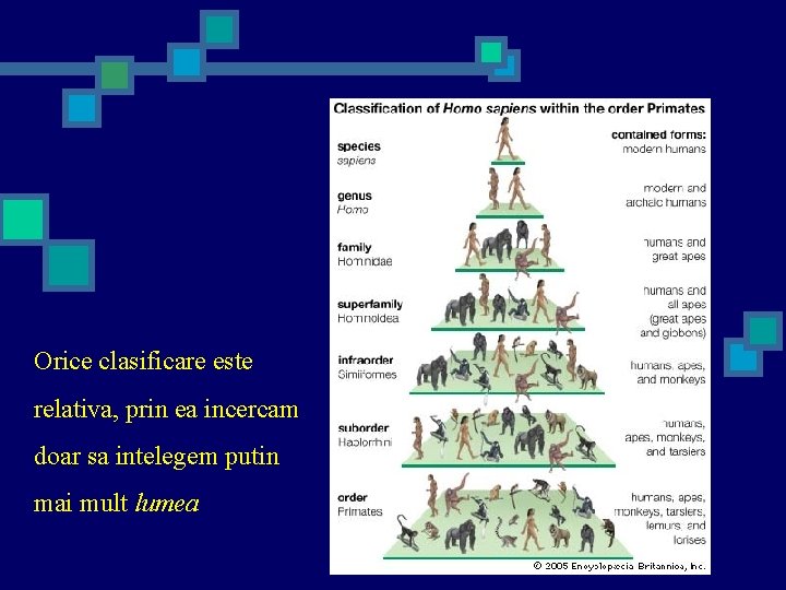 Orice clasificare este relativa, prin ea incercam doar sa intelegem putin mai mult lumea