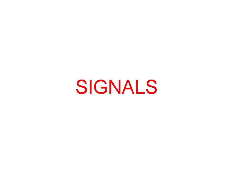 SIGNALS 