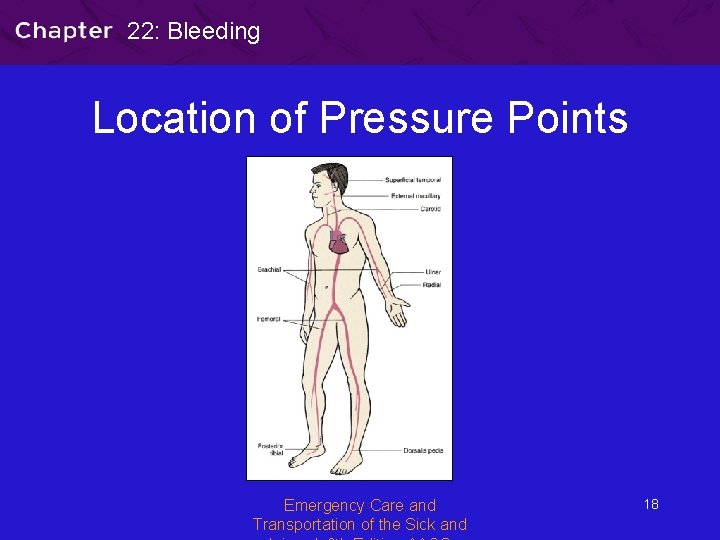 22: Bleeding Location of Pressure Points Emergency Care and Transportation of the Sick and