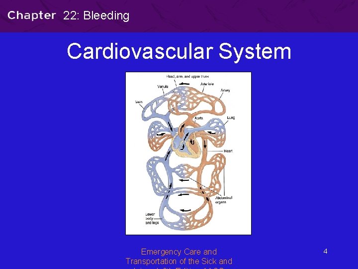 22: Bleeding Cardiovascular System Emergency Care and Transportation of the Sick and 4 