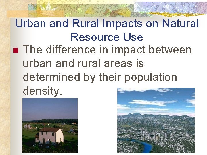 Urban and Rural Impacts on Natural Resource Use n The difference in impact between