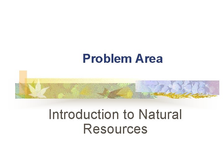 Problem Area Introduction to Natural Resources 