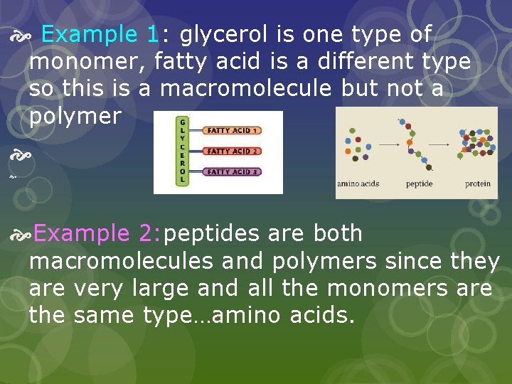  Example 1: glycerol is one type of monomer, fatty acid is a different