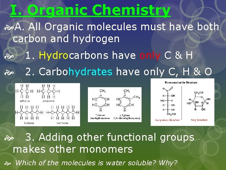 I. Organic Chemistry A. All Organic molecules must have both carbon and hydrogen 1.