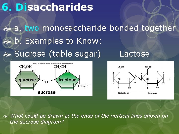 6. Disaccharides a. two monosaccharide bonded together b. Examples to Know: Sucrose (table sugar)