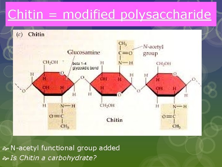 Chitin = modified polysaccharide N-acetyl functional group added Is Chitin a carbohydrate? 