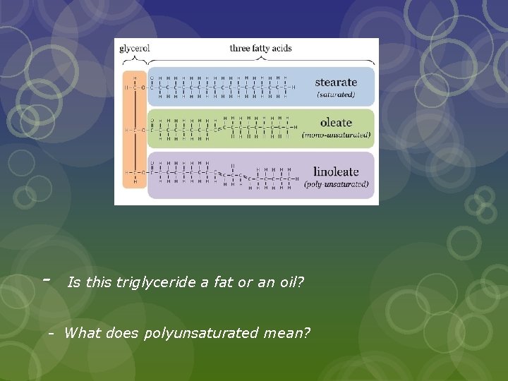 - Is this triglyceride a fat or an oil? - What does polyunsaturated mean?