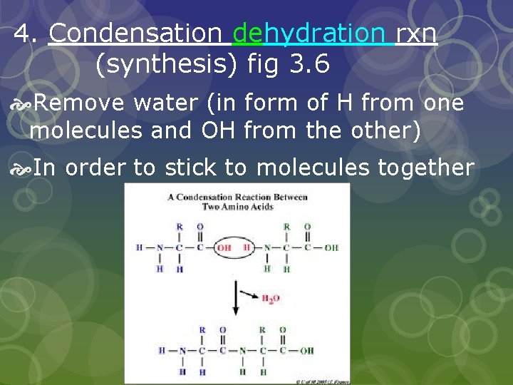 4. Condensation dehydration rxn (synthesis) fig 3. 6 Remove water (in form of H