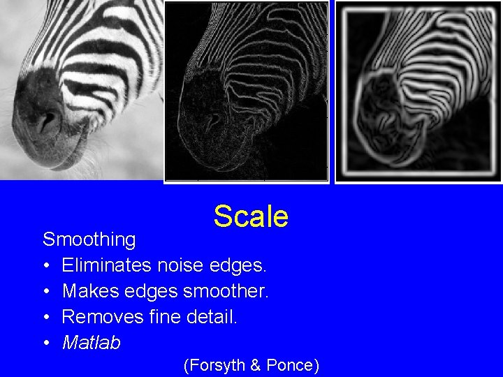 Scale Smoothing • Eliminates noise edges. • Makes edges smoother. • Removes fine detail.