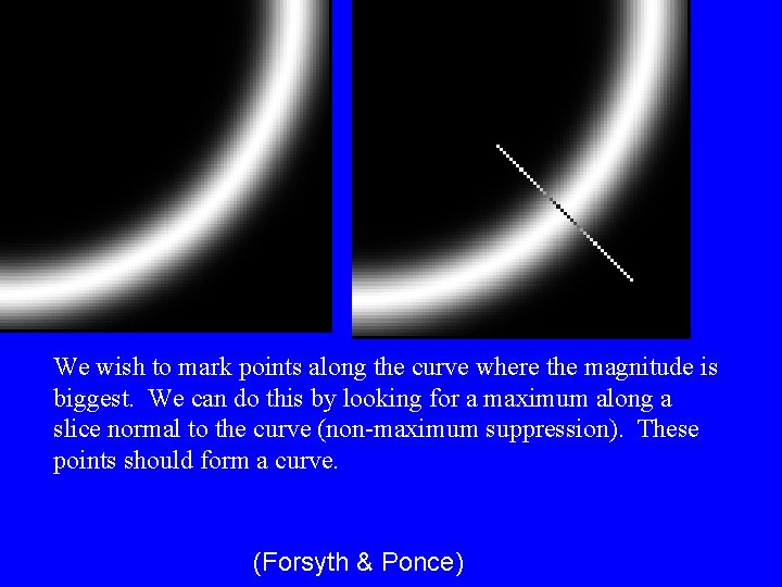 We wish to mark points along the curve where the magnitude is biggest. We