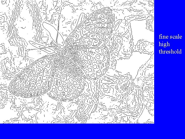 fine scale high threshold 