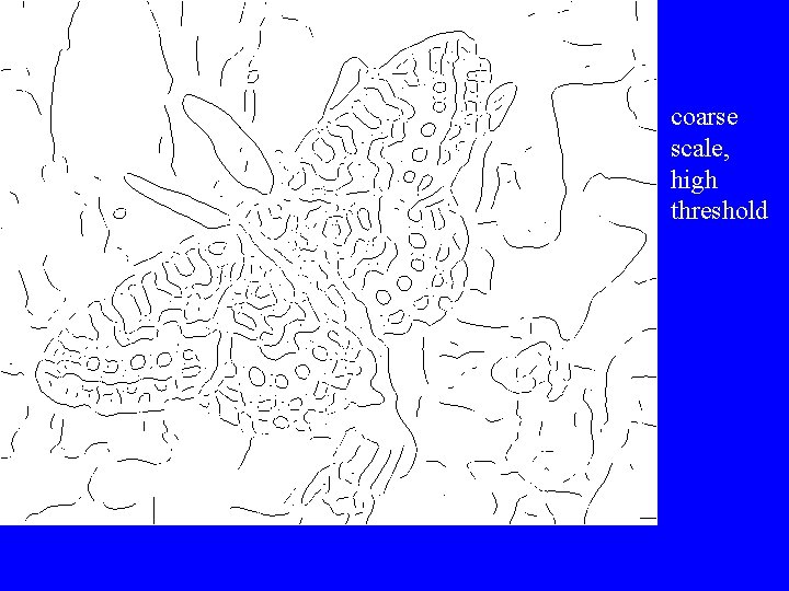 coarse scale, high threshold 