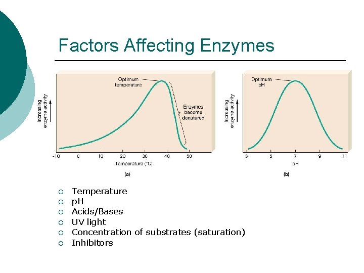 Factors Affecting Enzymes ¡ ¡ ¡ Temperature p. H Acids/Bases UV light Concentration of