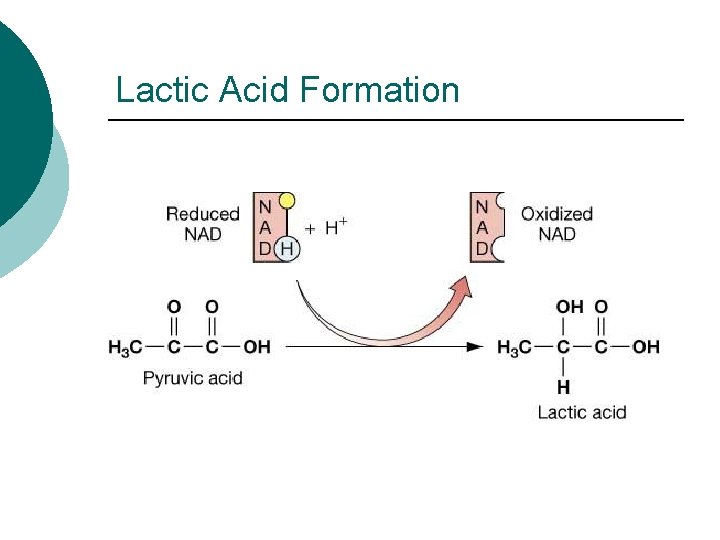 Lactic Acid Formation 