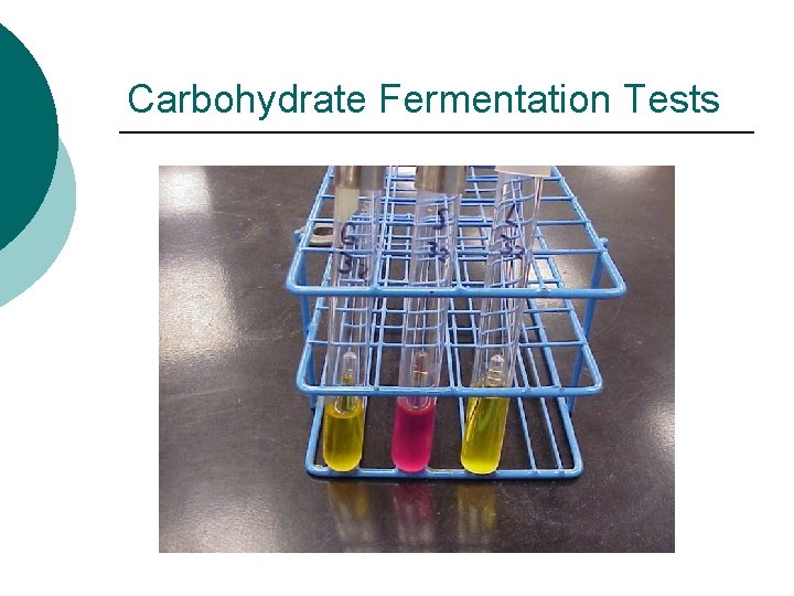 Carbohydrate Fermentation Tests 
