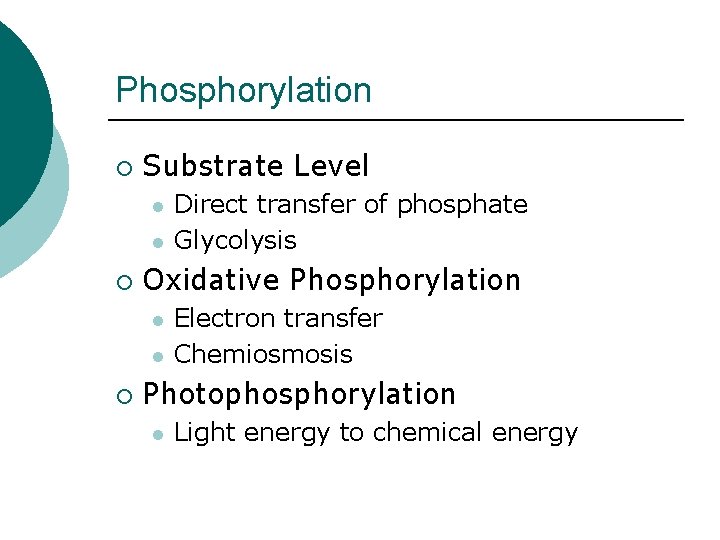 Phosphorylation ¡ Substrate Level l l ¡ Oxidative Phosphorylation l l ¡ Direct transfer