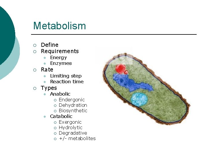 Metabolism ¡ ¡ Define Requirements l l ¡ Rate l l ¡ Energy Enzymes