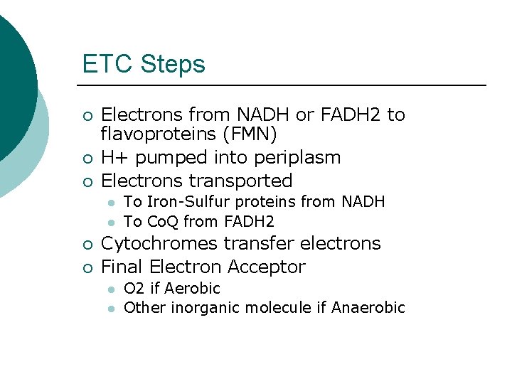 ETC Steps ¡ ¡ ¡ Electrons from NADH or FADH 2 to flavoproteins (FMN)