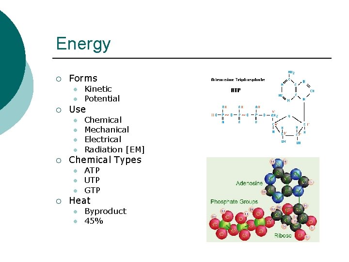 Energy ¡ Forms l l ¡ Use l l ¡ Chemical Mechanical Electrical Radiation
