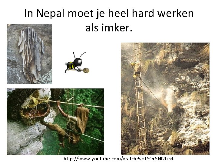 In Nepal moet je heel hard werken als imker. http: //www. youtube. com/watch? v=TSOr