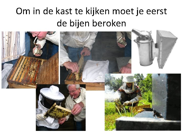 Om in de kast te kijken moet je eerst de bijen beroken 