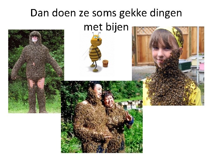 Dan doen ze soms gekke dingen met bijen 