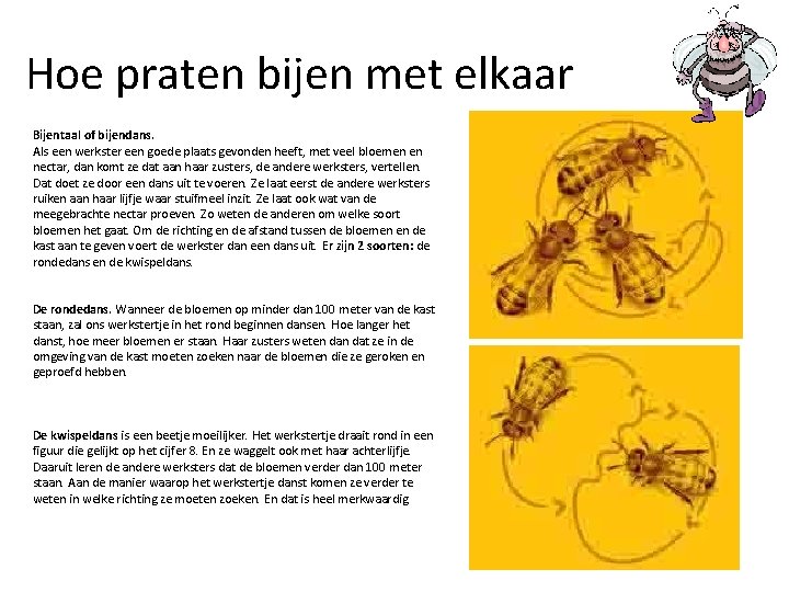 Hoe praten bijen met elkaar Bijentaal of bijendans. Als een werkster een goede plaats