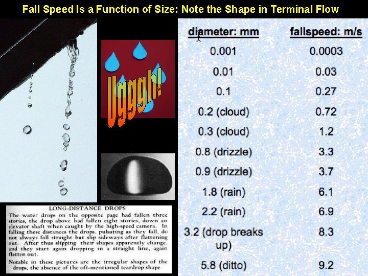 Fall Speed Is a Function of Size: Note the Shape in Terminal Flow pat