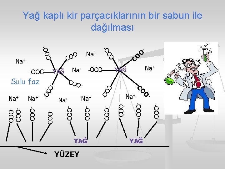 O O C YAĞ COO- COO- YÜZEY Na+ - YAĞ Na+ YAĞ O CO