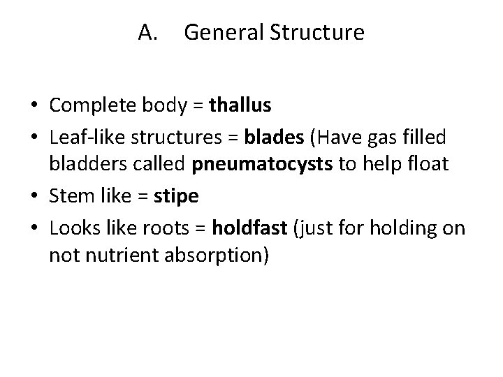 A. General Structure • Complete body = thallus • Leaf-like structures = blades (Have