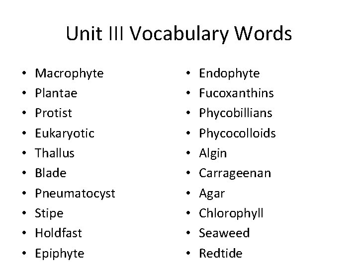 Unit III Vocabulary Words • • • Macrophyte Plantae Protist Eukaryotic Thallus Blade Pneumatocyst