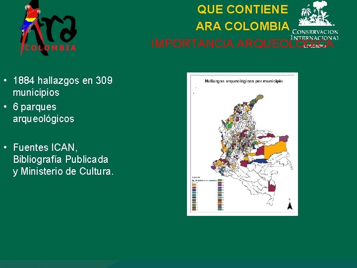 QUE CONTIENE ARA COLOMBIA IMPORTANCIA ARQUEOLOGICA • 1884 hallazgos en 309 municipios • 6