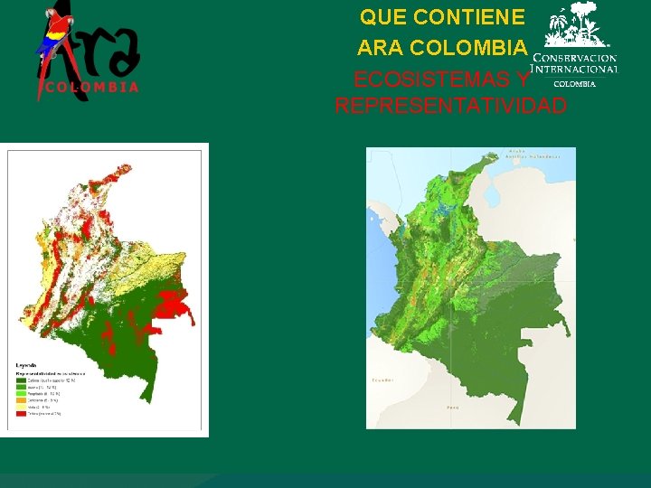 QUE CONTIENE ARA COLOMBIA ECOSISTEMAS Y REPRESENTATIVIDAD 