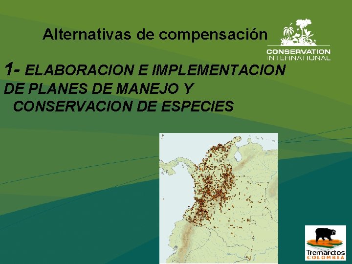 Alternativas de compensación 1 - ELABORACION E IMPLEMENTACION DE PLANES DE MANEJO Y CONSERVACION