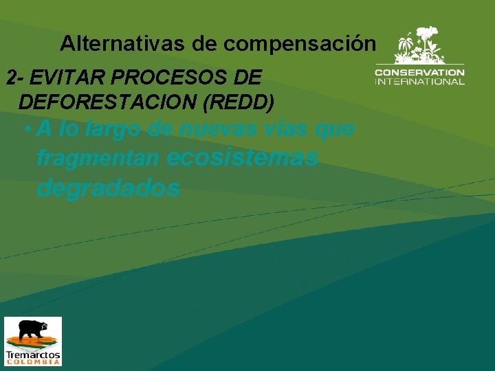 Alternativas de compensación 2 - EVITAR PROCESOS DE DEFORESTACION (REDD) • A lo largo
