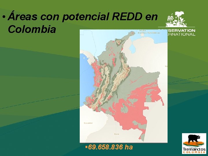  • Áreas con potencial REDD en Colombia § 69. 658. 836 ha 