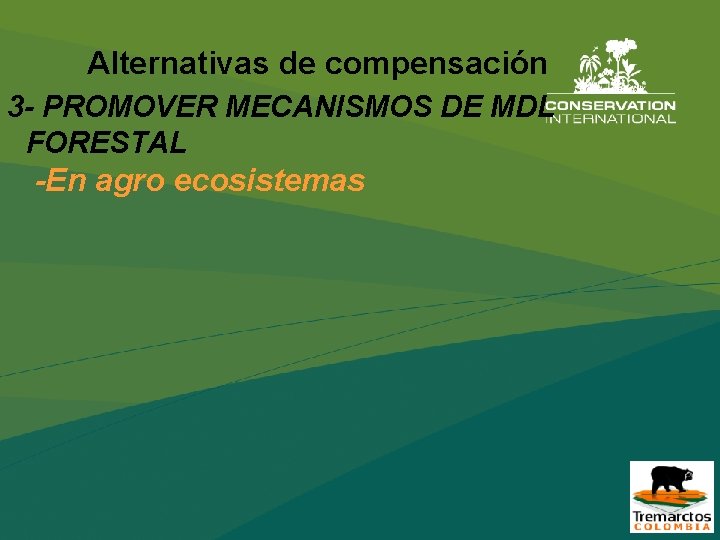 Alternativas de compensación 3 - PROMOVER MECANISMOS DE MDL FORESTAL -En agro ecosistemas 