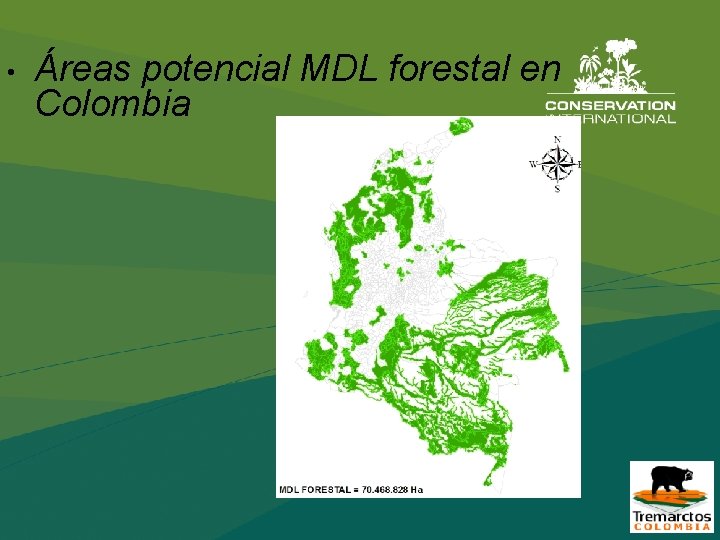  • Áreas potencial MDL forestal en Colombia 