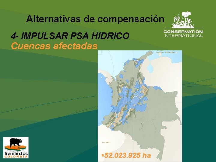 Alternativas de compensación 4 - IMPULSAR PSA HIDRICO Cuencas afectadas § 52. 023. 925