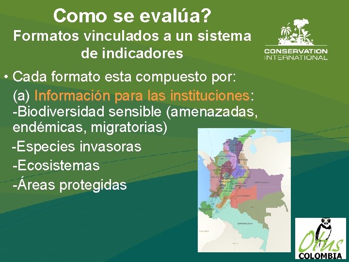 Como se evalúa? Formatos vinculados a un sistema de indicadores • Cada formato esta