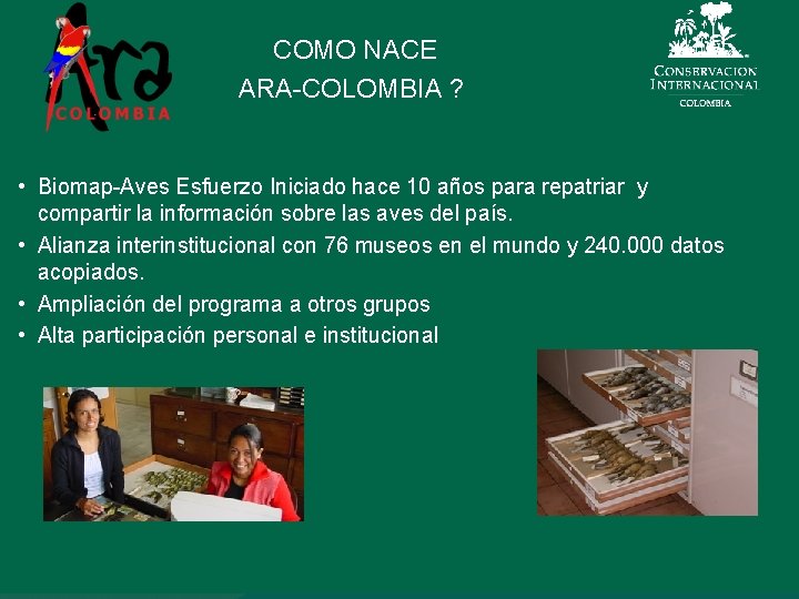 COMO NACE ARA-COLOMBIA ? • Biomap-Aves Esfuerzo Iniciado hace 10 años para repatriar y