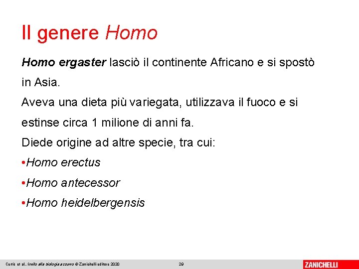 Il genere Homo ergaster lasciò il continente Africano e si spostò in Asia. Aveva