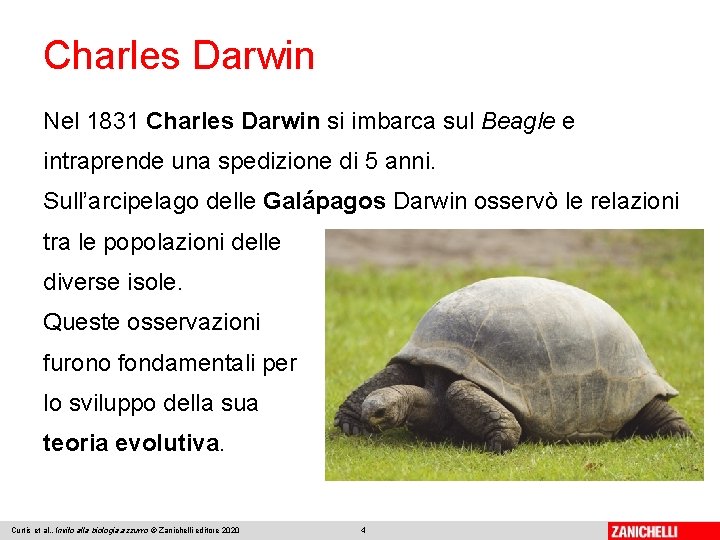 Charles Darwin Nel 1831 Charles Darwin si imbarca sul Beagle e intraprende una spedizione